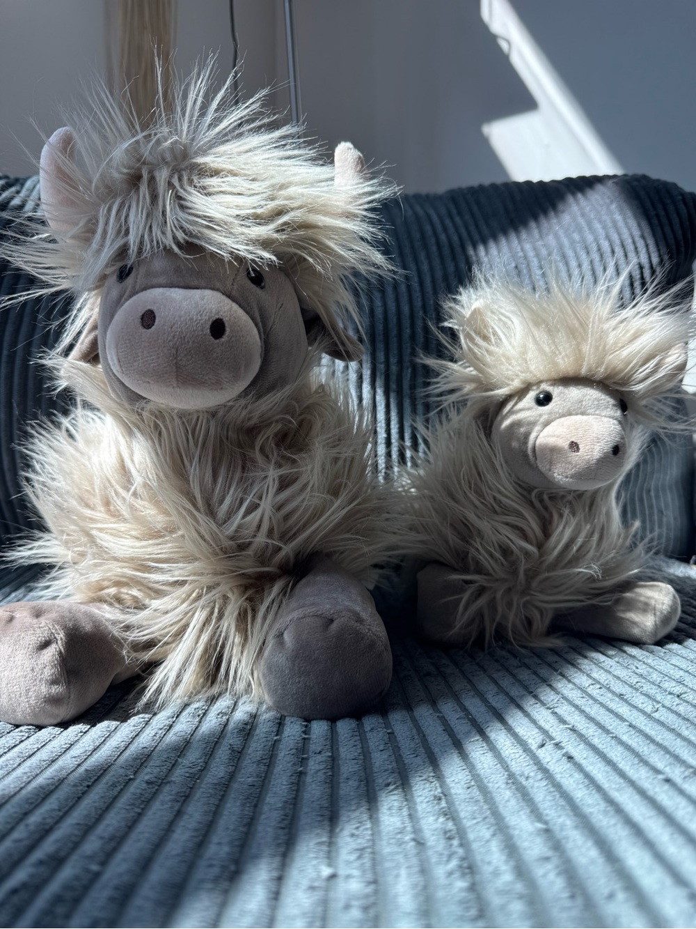 Jellycat Gambledown Highland Cow P Medium & Small Set RARE RETIRED HTF
